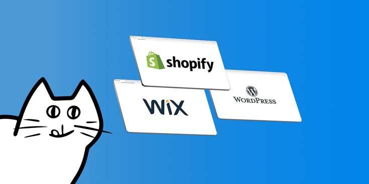 How to Choose the Right Website Platform (WordPress vs Wix vs Shopify)